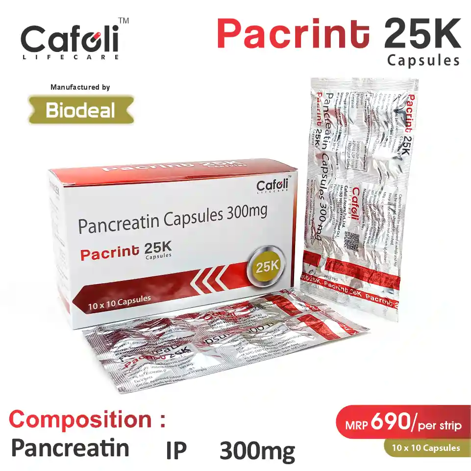 Pancreatin 300mg with Lipase 25,000 Units, Amylase 20,000 Units, and Protease 1,000 Units at the best price in PCD Pharma Franchise for Comprehensive Digestive Support.